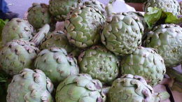 Banc de marché : artichauts. Bergerac, printemps 2016