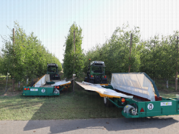 Prune d'Ente - Chantier de récolte mécanique sur le verger expérimental conduit en mur fruitier, CTIFL, centre de Lanxade (24)
