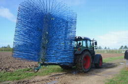 Eclairvale® à tige bleue : pour une récolte mécanique des fruits