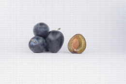 Variété de prune : Buhl