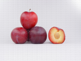 Variété de prune : Obilnaya