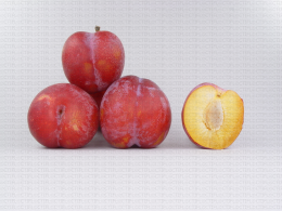 Variété de prune : Ozard
