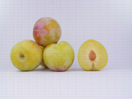 Variété de prune : Rubynel