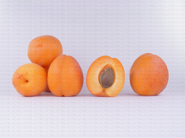 Variété d'abricot : Valla'must