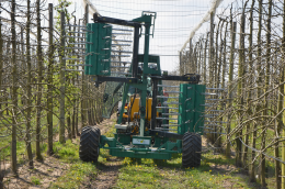 Eclaircissage mécanique sur bourgeons de pommier avec Eclairfel. Verger conduit en axe