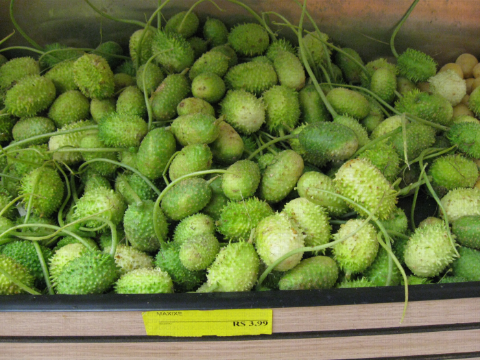 Maxixe ou Bur Cucumber du Brésil - Curcubitacées